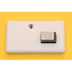 Sonoff SV (Safe Voltage) with Case