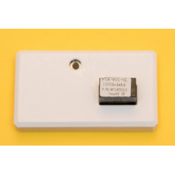 Sonoff SV (Safe Voltage) with Case
